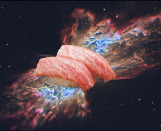 Illustration for article titled These pictures of sushi floating in space are truly awesome